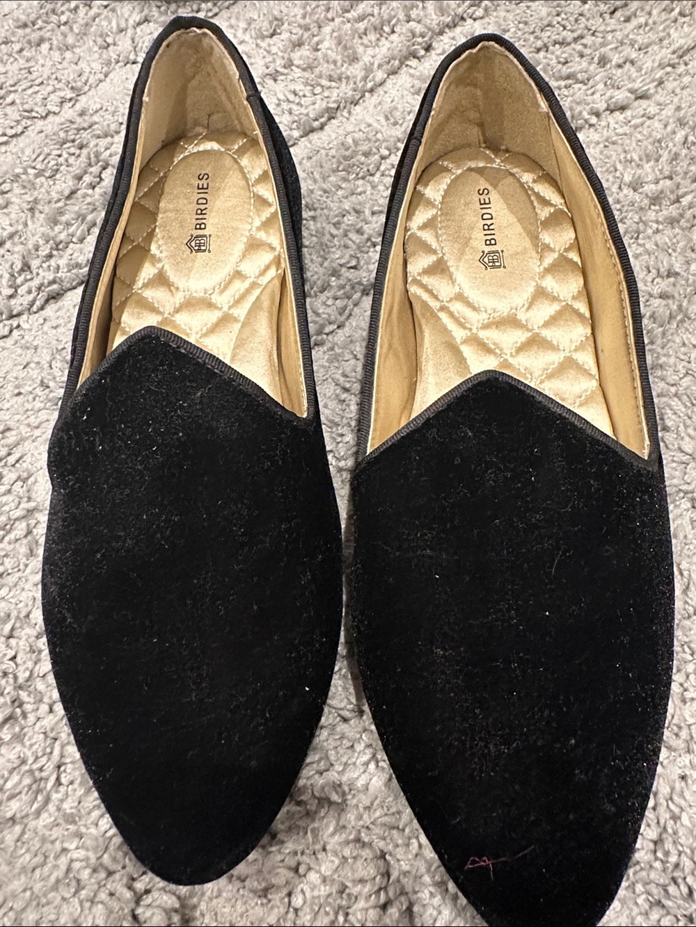 Birdies Black Velvet Slip-On Loafers for Men